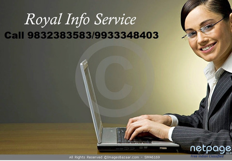 Royal Info Service Offered