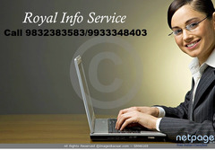 Royal Info Service Offered