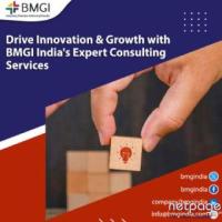 Drive Innovation and Growth with BMGI India's Expert Consulting Services