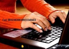 Online Data Entry Job