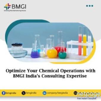 Optimize Your Chemical Operations with BMGI India's Consulting Expertise