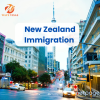 Trusted New Zealand Immigration Services for Work & Study Visas - Wave Visas