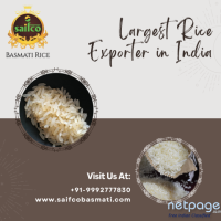 Largest Rice Exporter in India