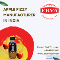 Apple Fizzy Manufacturer in India