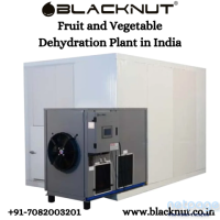 Fruit and Vegetable Dehydration Plant in India