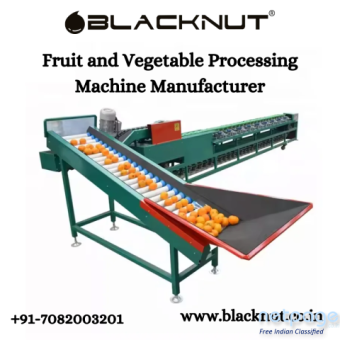 Fruit and Vegetable Processing Machine Manufacturer